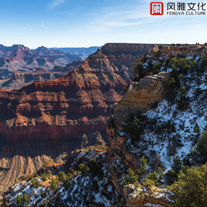 小美女跳舞裸舞
